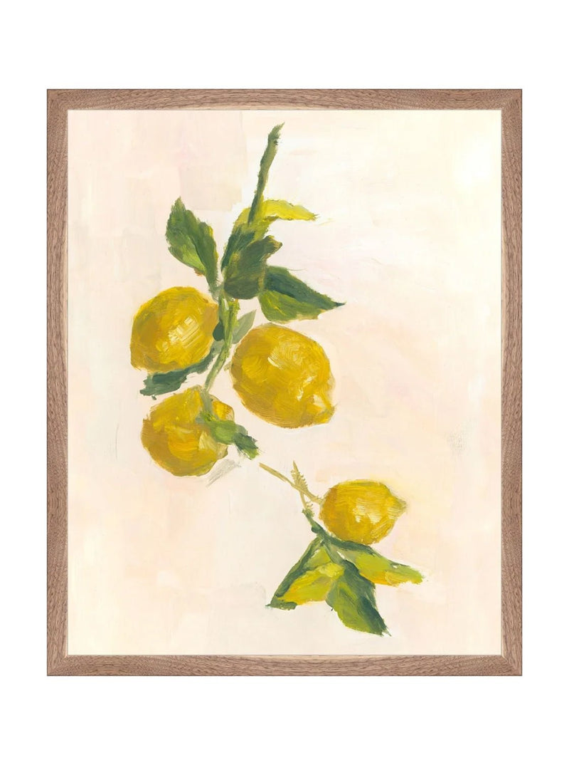 Lemons - HJART0229 - WNT - 16X20