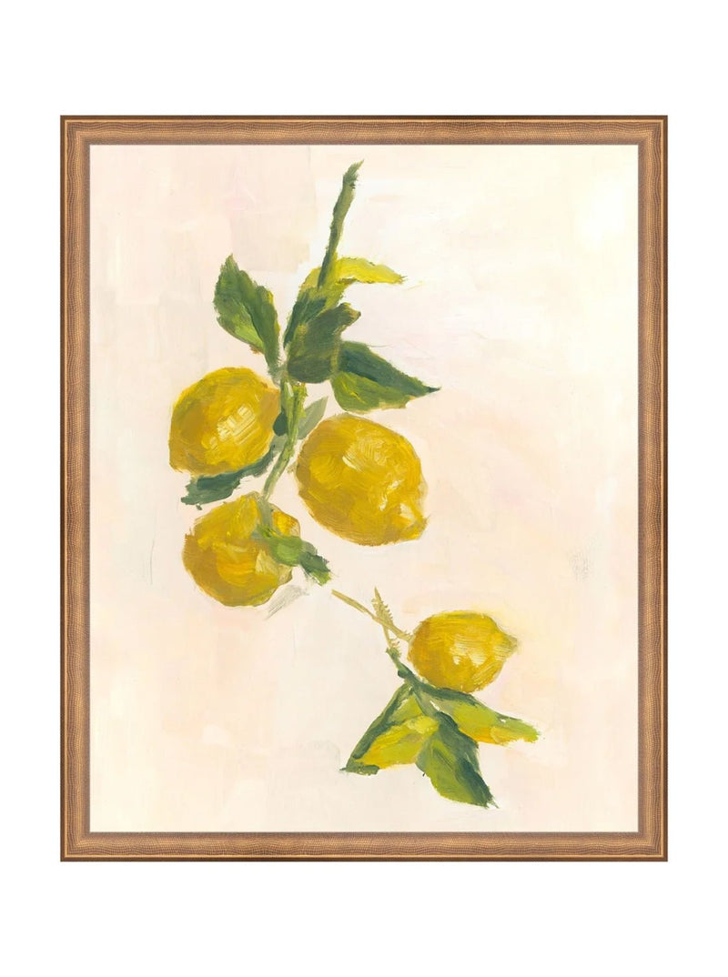 Lemons - HJART0229 - BNZ - 16X20