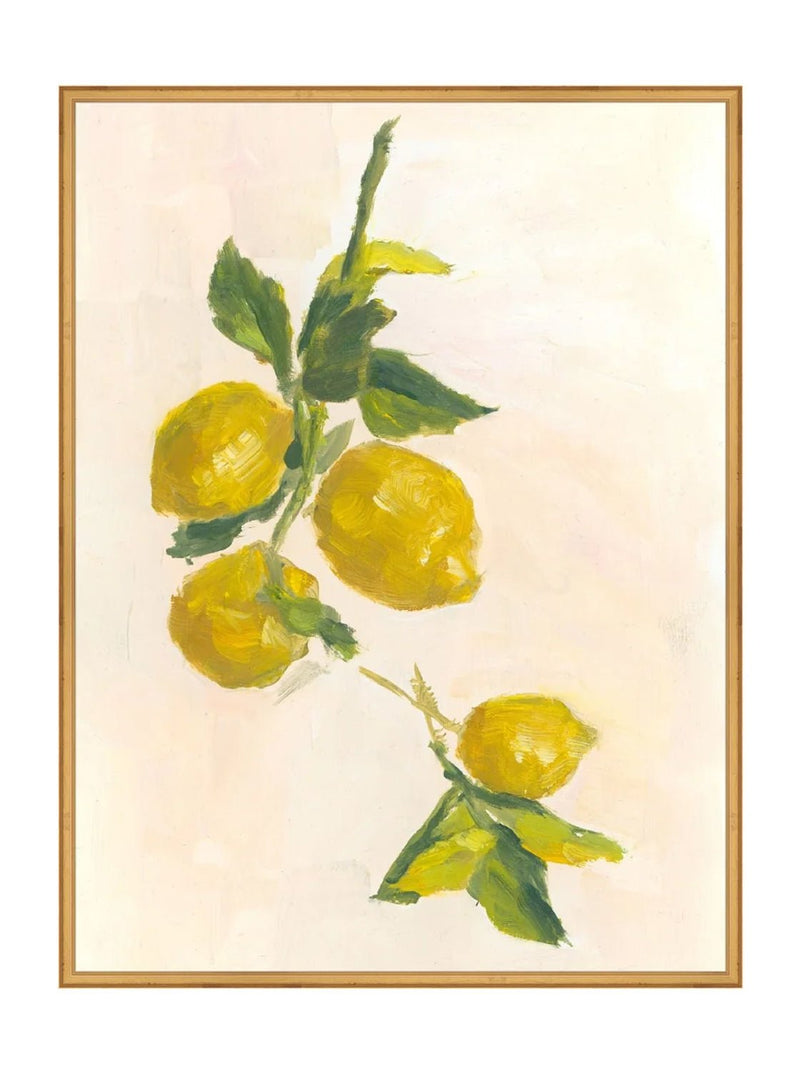 Lemons - HJART0229 - GLD - 30X40