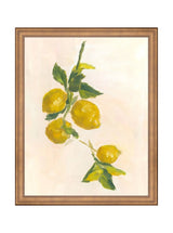 Lemons - HJART0229 - BNZ - 11X14