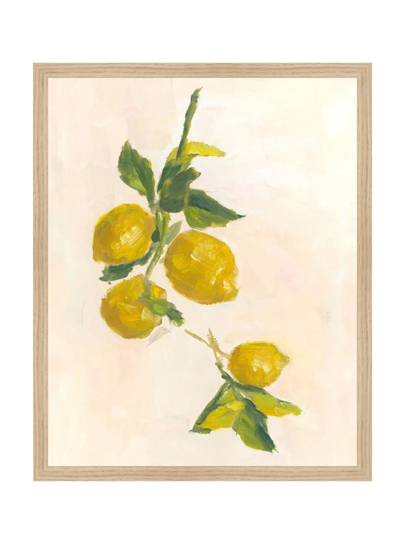 Lemons - HJART0229 - OAK - 16X20