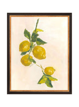 Lemons - HJART0229 - BGD - 11X14