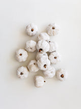 Mini Pumpkins | Set of 15 - HJDCR0393 - WHT