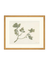 Mistletoe - HJART0261 - GLD - 16x19