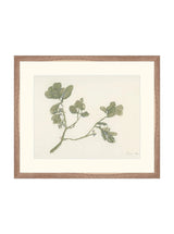 Mistletoe - HJART0261 - WLN - 16x19