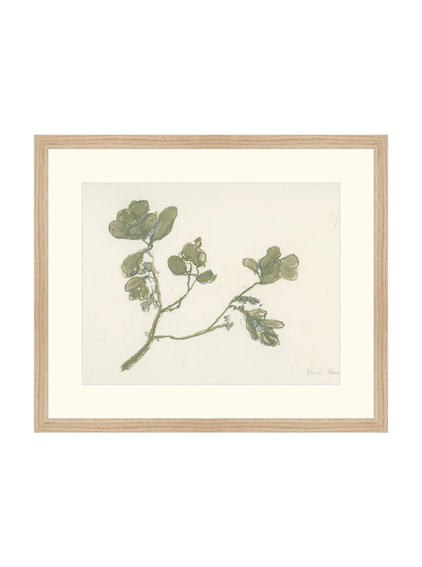 Mistletoe - HJART0261 - OAK - 16x19