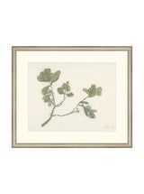 Mistletoe - HJART0261 - SLV - 16x19