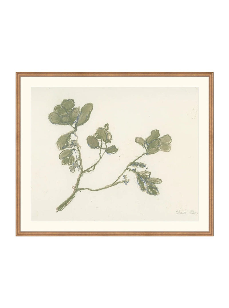 Mistletoe - HJART0261 - BNZ - 29x35