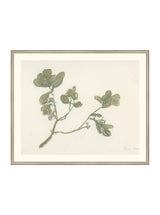 Mistletoe - HJART0261 - SLV - 29x35