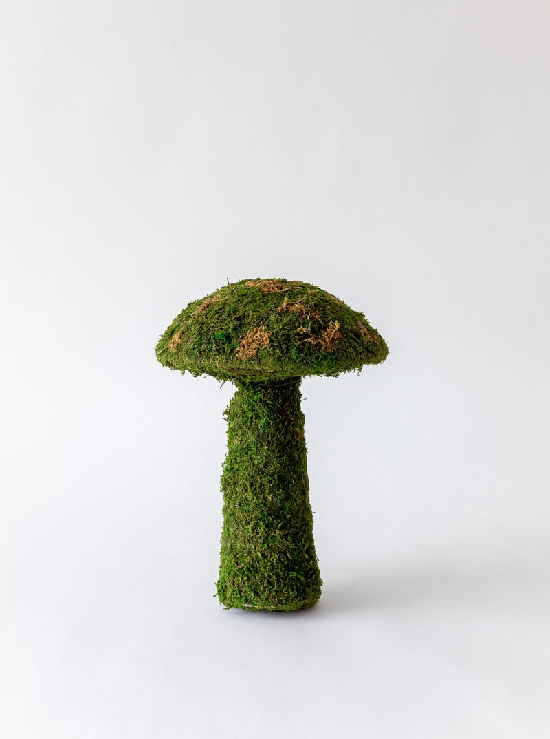 Moss Mushrooms - HJDCR0358 - L