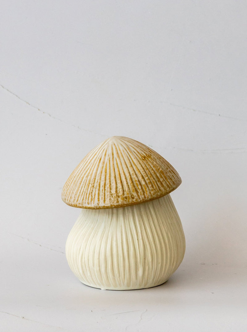 Mushroom Cap Canister - HJDCR0395 - S