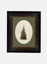 Oval Matte Tree