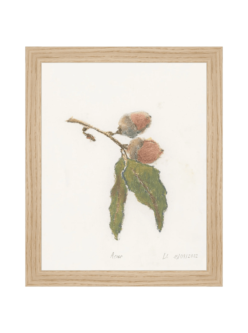 Pastel Acorn - HJART0316 - OAK - 8x10