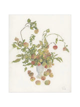 Pastel Apples - HJART0265 - UF - 8x10