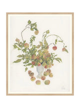 Pastel Apples - HJART0265 - OAK - 27x33