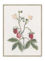 Pastel Strawberries - HJART0281 - SIL - 30x40