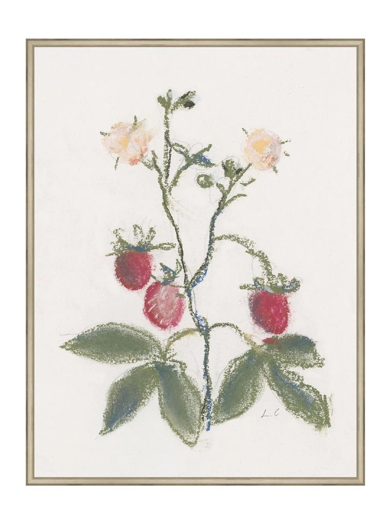 Pastel Strawberries - HJART0281 - SIL - 30x40