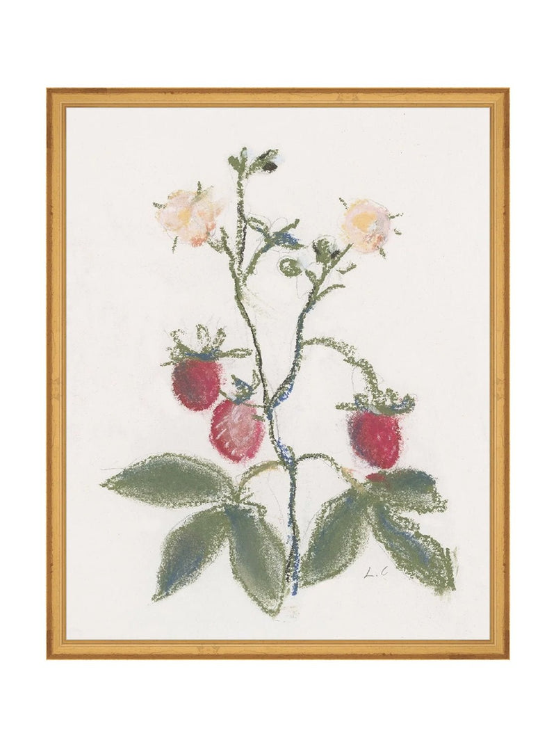 Pastel Strawberries - HJART0281 - GLD - 16x20