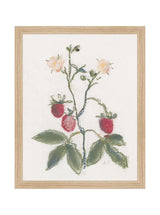 Pastel Strawberries - HJART0281 - OAK - 11x14