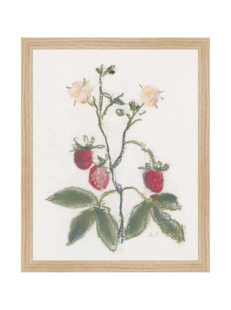Pastel Strawberries - HJART0281 - OAK - 11x14