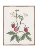 Pastel Strawberries - HJART0281 - WLN - 24x30