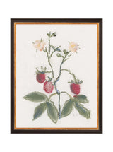 Pastel Strawberries - HJART0281 - BDG - 11x14