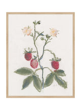 Pastel Strawberries - HJART0281 - OAK - 24x30
