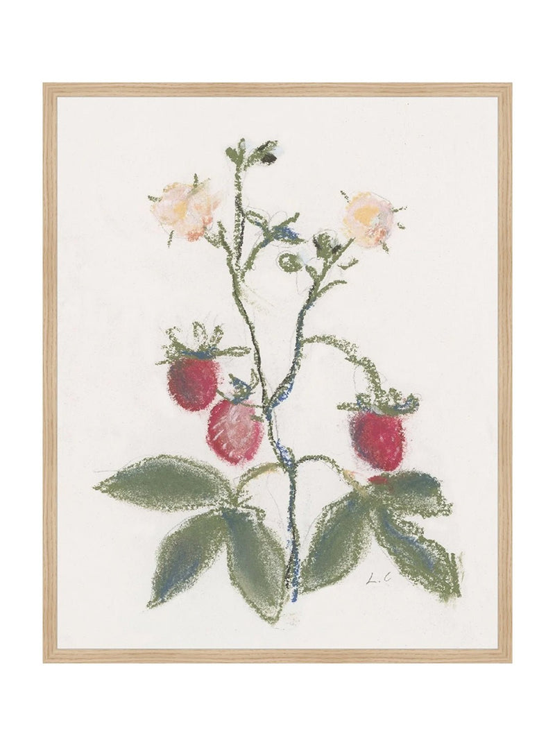 Pastel Strawberries - HJART0281 - OAK - 24x30