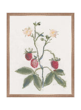 Pastel Strawberries - HJART0281 - WLN - 16x20
