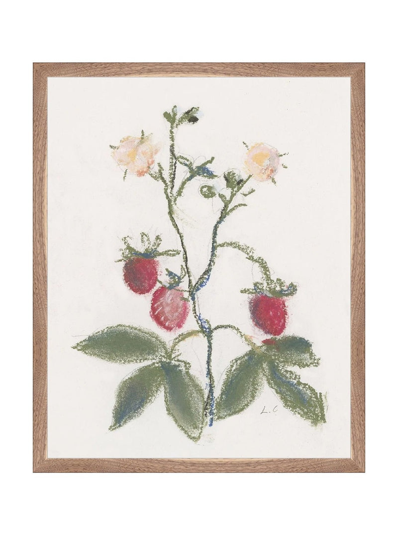 Pastel Strawberries - HJART0281 - WLN - 16x20