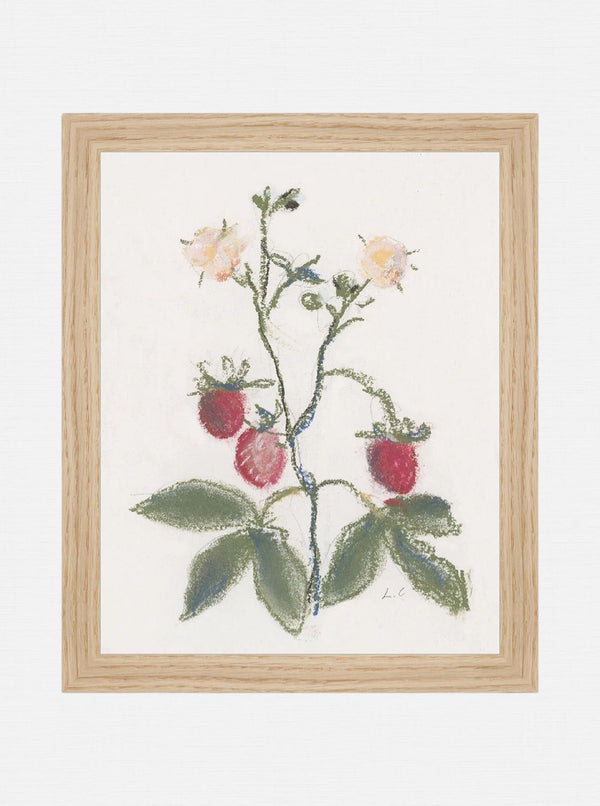 Pastel Strawberries - HJART0281 - OAK - 8X10