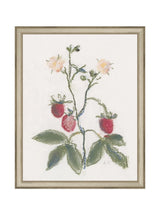 Pastel Strawberries - HJART0281 - SIL - 11x14