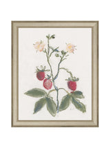 Pastel Strawberries - HJART0281 - SIL - 8X10