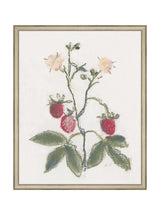 Pastel Strawberries - HJART0281 - SIL - 16x20