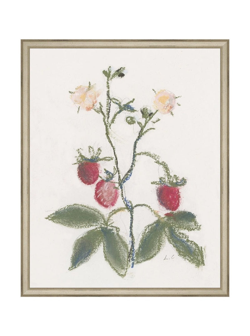 Pastel Strawberries - HJART0281 - SIL - 16x20