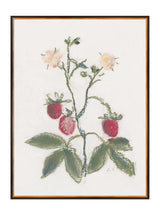 Pastel Strawberries - HJART0281 - BDG - 30x40