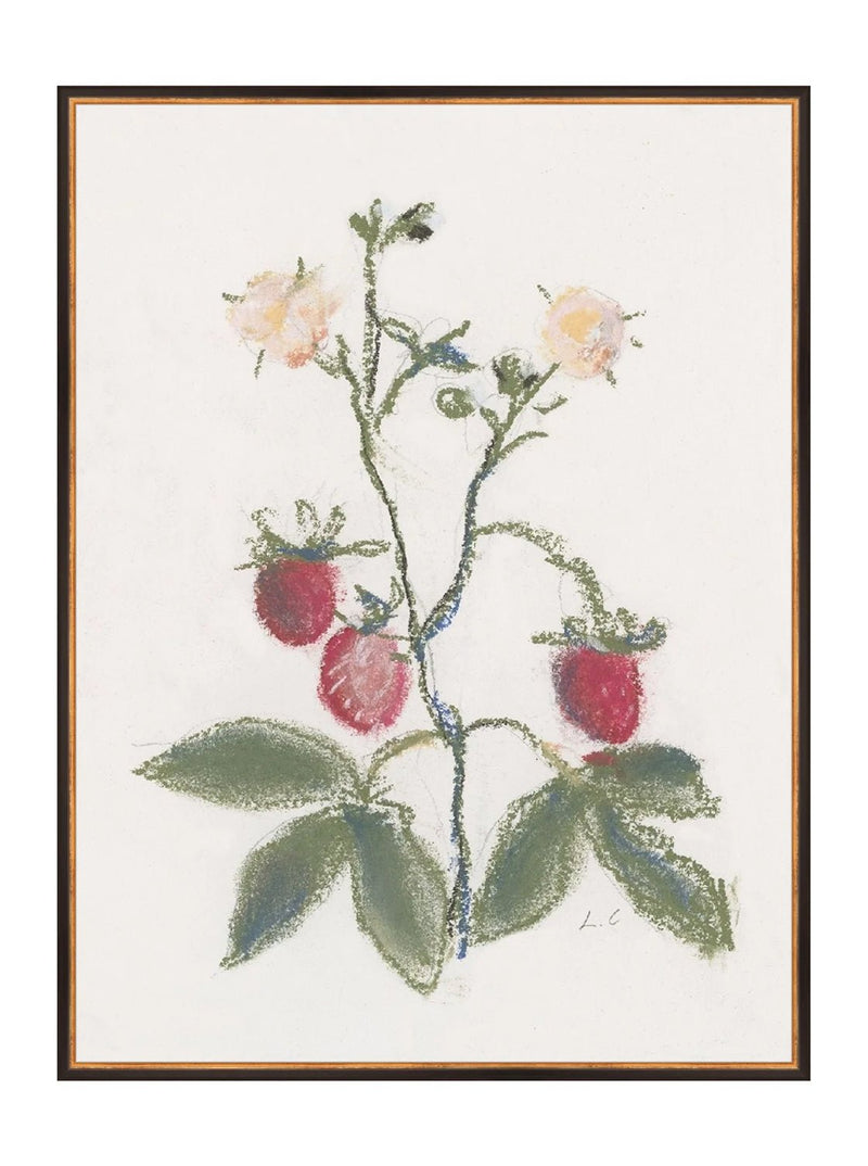Pastel Strawberries - HJART0281 - BDG - 30x40