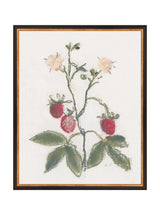 Pastel Strawberries - HJART0281 - BDG - 16x20