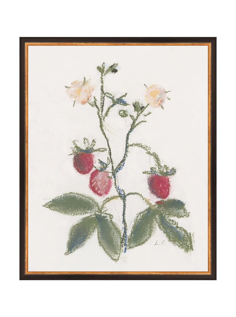 Pastel Strawberries - HJART0281 - BDG - 16x20