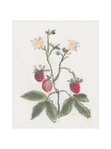 Pastel Strawberries - HJART0281 - UF - 8X10