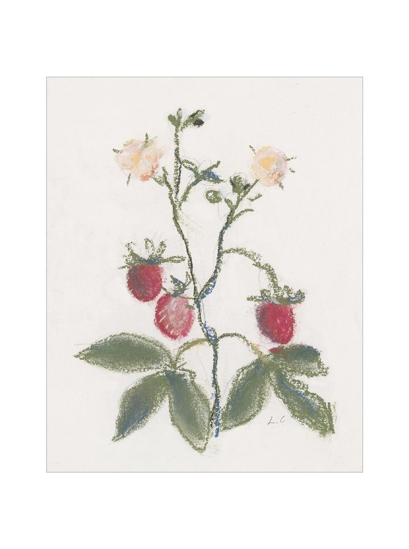 Pastel Strawberries - HJART0281 - UF - 8X10