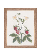 Pastel Strawberries - HJART0281 - WLN - 8X10