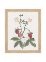 Pastel Strawberries - HJART0281 - OAK - 8X10