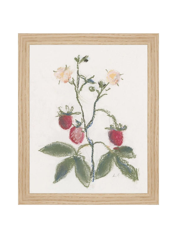 Pastel Strawberries - HJART0281 - OAK - 8X10