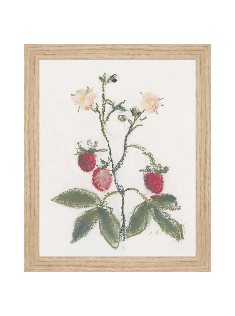 Pastel Strawberries - HJART0281 - OAK - 8X10