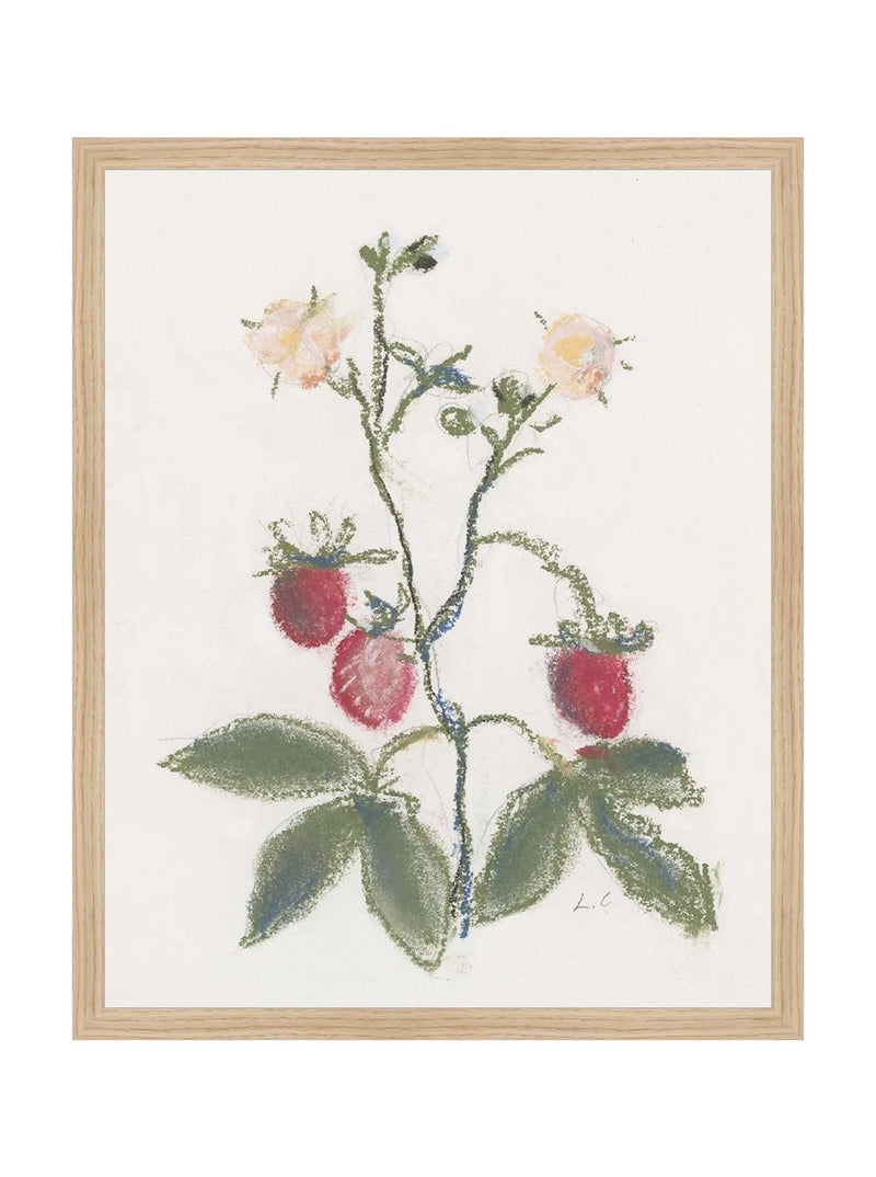 Pastel Strawberries - HJART0281 - OAK - 16x20