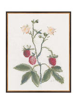 Pastel Strawberries - HJART0281 - BDG - 24x30