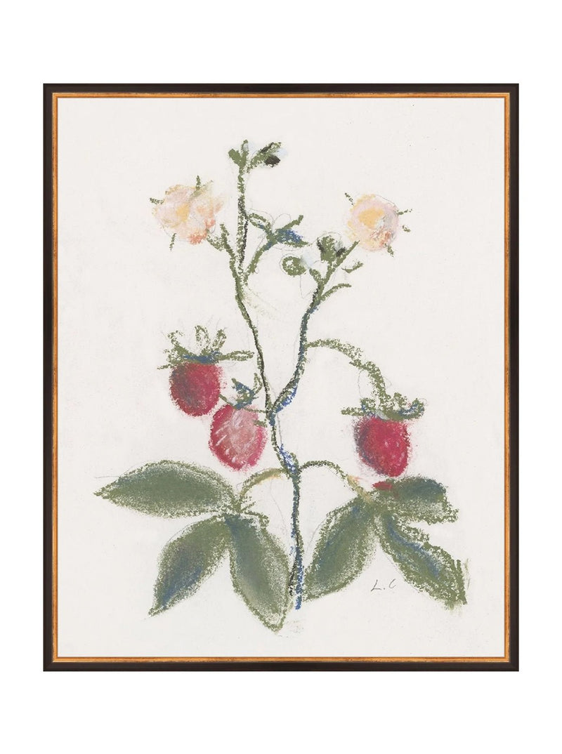 Pastel Strawberries - HJART0281 - BDG - 24x30