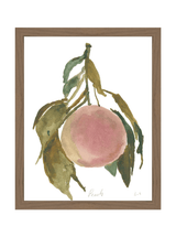 Peach - HJART0314 - WAL - 11x14