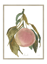 Peach - HJART0314 - SLV - 30x40